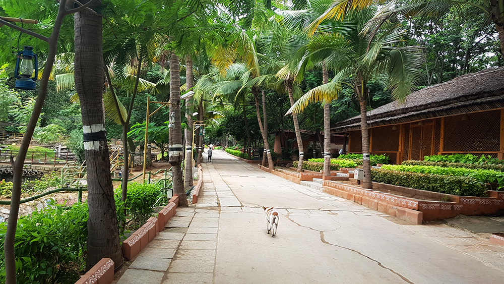 Travel India Photo